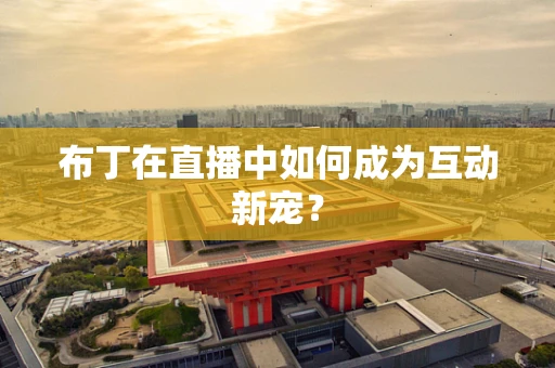 布丁在直播中如何成为互动新宠？