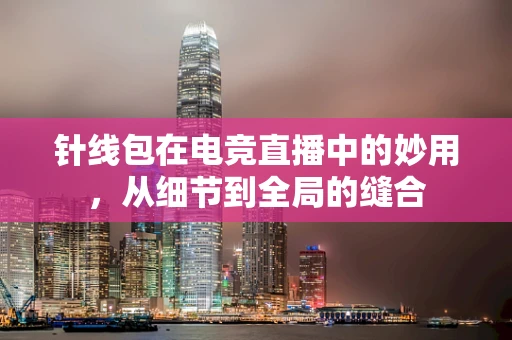 针线包在电竞直播中的妙用，从细节到全局的缝合