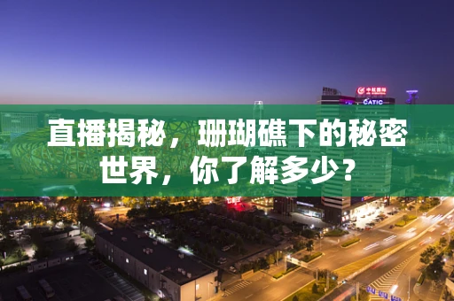 直播揭秘，珊瑚礁下的秘密世界，你了解多少？