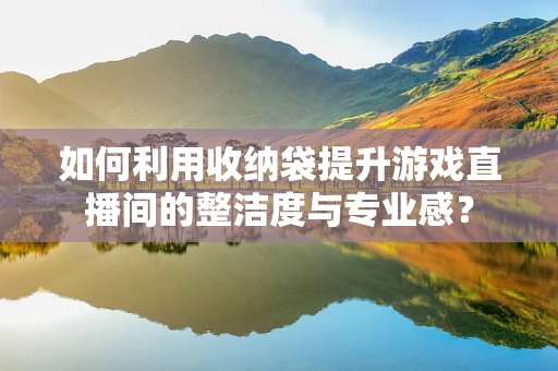 如何利用收纳袋提升游戏直播间的整洁度与专业感？