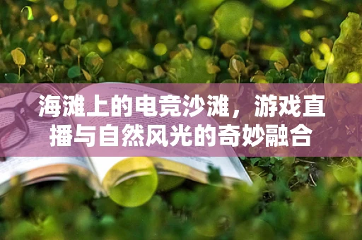海滩上的电竞沙滩，游戏直播与自然风光的奇妙融合