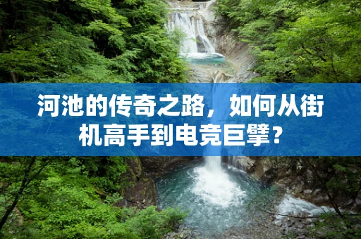 河池的传奇之路，如何从街机高手到电竞巨擘？