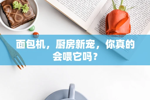 面包机，厨房新宠，你真的会喂它吗？