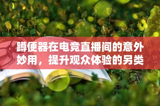 蹲便器在电竞直播间的意外妙用，提升观众体验的另类创新？