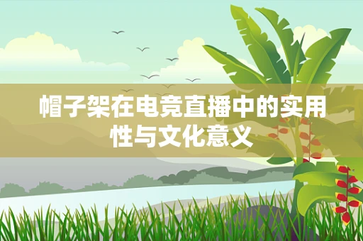 帽子架在电竞直播中的实用性与文化意义