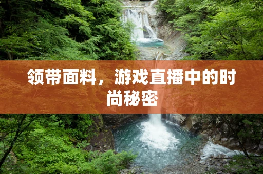 领带面料，游戏直播中的时尚秘密