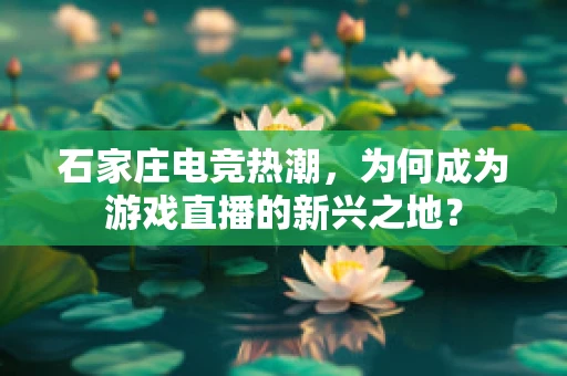石家庄电竞热潮，为何成为游戏直播的新兴之地？