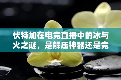 伏特加在电竞直播中的冰与火之谜，是解压神器还是竞技干扰？