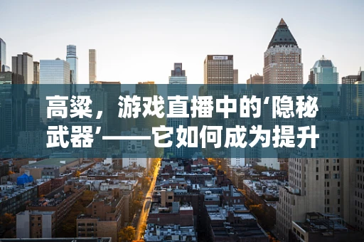 高粱，游戏直播中的‘隐秘武器’——它如何成为提升观众互动的秘诀？