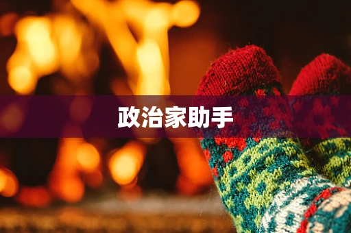 政治家助手