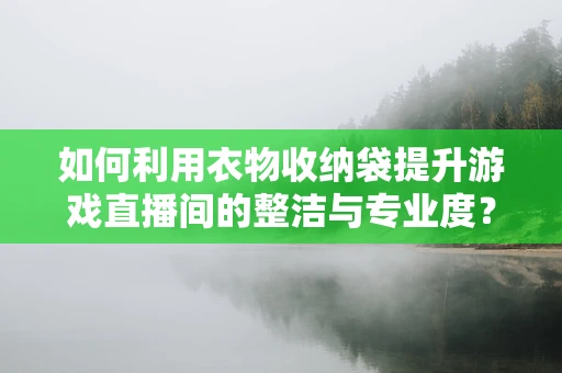 如何利用衣物收纳袋提升游戏直播间的整洁与专业度？