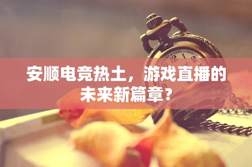 安顺电竞热土，游戏直播的未来新篇章？