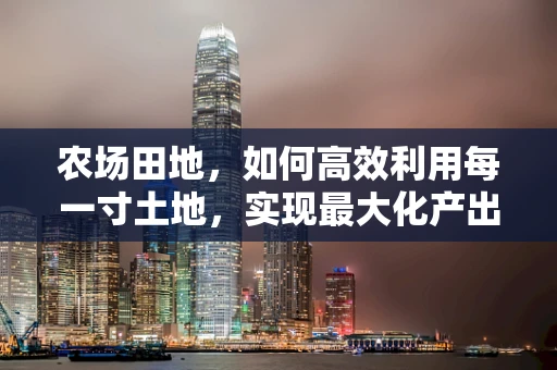农场田地，如何高效利用每一寸土地，实现最大化产出？