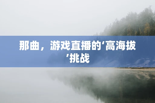 那曲，游戏直播的‘高海拔’挑战