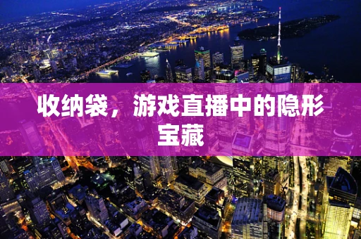 收纳袋，游戏直播中的隐形宝藏