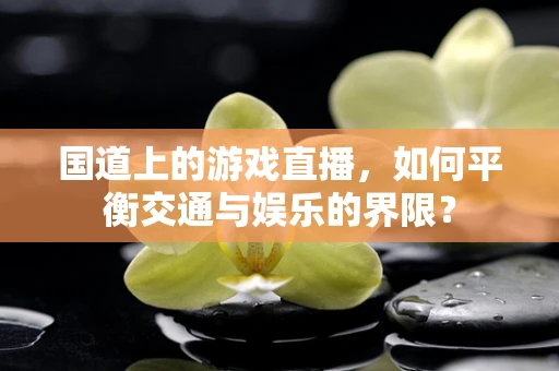 国道上的游戏直播，如何平衡交通与娱乐的界限？