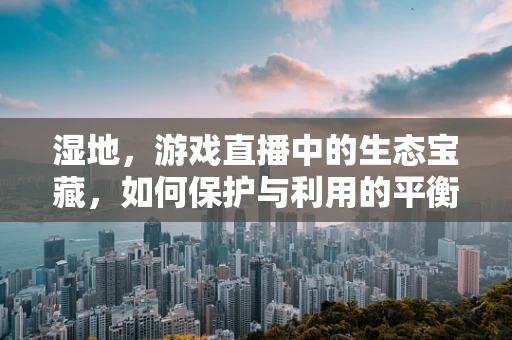 湿地，游戏直播中的生态宝藏，如何保护与利用的平衡？