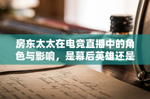 房东太太在电竞直播中的角色与影响，是幕后英雄还是观众新宠？