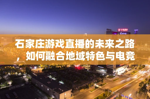 石家庄游戏直播的未来之路，如何融合地域特色与电竞文化？