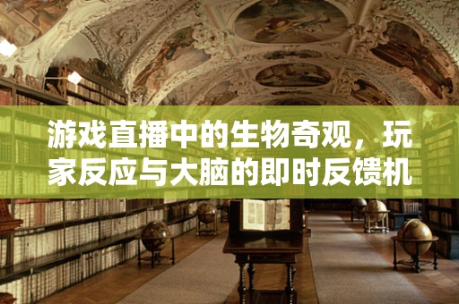 游戏直播中的生物奇观，玩家反应与大脑的即时反馈机制