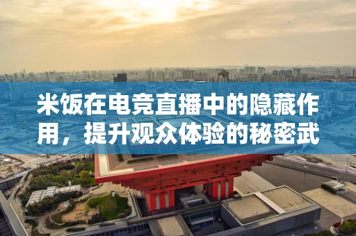 米饭在电竞直播中的隐藏作用，提升观众体验的秘密武器？