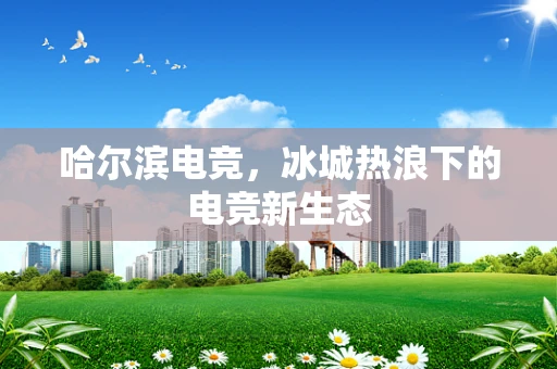哈尔滨电竞，冰城热浪下的电竞新生态