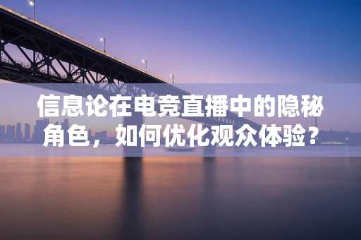 信息论在电竞直播中的隐秘角色，如何优化观众体验？