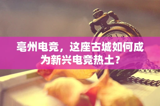 亳州电竞，这座古城如何成为新兴电竞热土？
