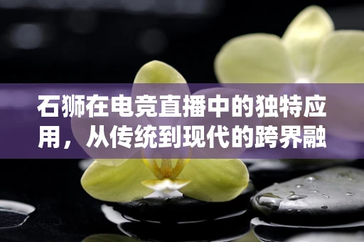 石狮在电竞直播中的独特应用，从传统到现代的跨界融合