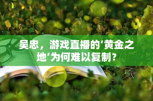 吴忠，游戏直播的‘黄金之地’为何难以复制？
