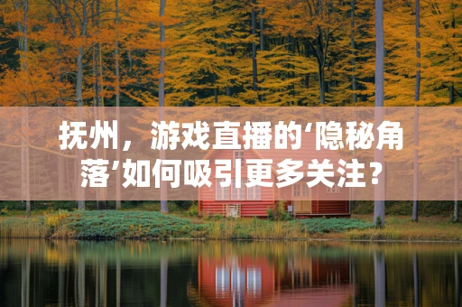抚州，游戏直播的‘隐秘角落’如何吸引更多关注？