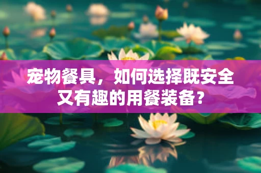 宠物餐具，如何选择既安全又有趣的用餐装备？