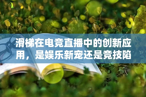 滑梯在电竞直播中的创新应用，是娱乐新宠还是竞技陷阱？