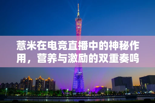 薏米在电竞直播中的神秘作用，营养与激励的双重奏鸣？