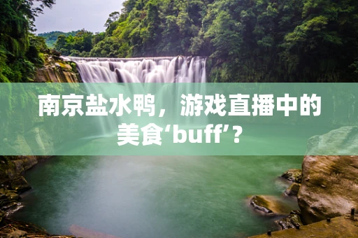 南京盐水鸭，游戏直播中的美食‘buff’？
