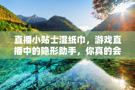直播小贴士湿纸巾，游戏直播中的隐形助手，你真的会用吗？