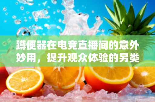 蹲便器在电竞直播间的意外妙用，提升观众体验的另类创新？