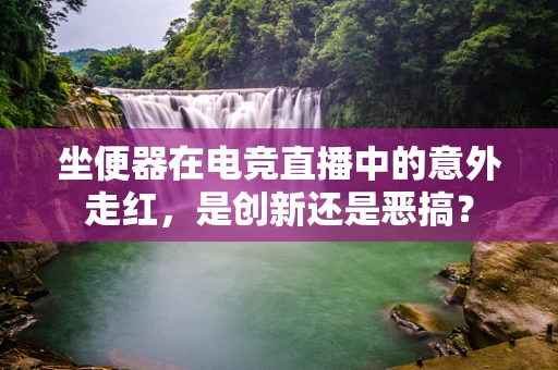 坐便器在电竞直播中的意外走红，是创新还是恶搞？