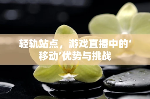 轻轨站点，游戏直播中的‘移动’优势与挑战