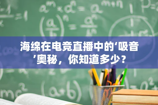 海绵在电竞直播中的‘吸音’奥秘，你知道多少？