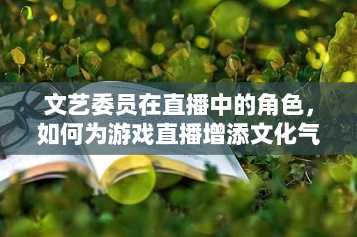 文艺委员在直播中的角色，如何为游戏直播增添文化气息？