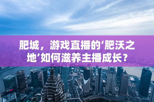 肥城，游戏直播的‘肥沃之地’如何滋养主播成长？