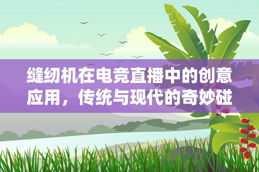 缝纫机在电竞直播中的创意应用，传统与现代的奇妙碰撞