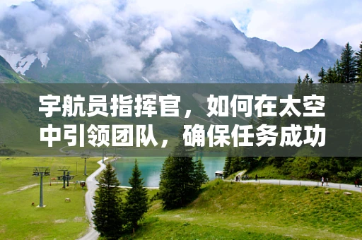 宇航员指挥官，如何在太空中引领团队，确保任务成功？