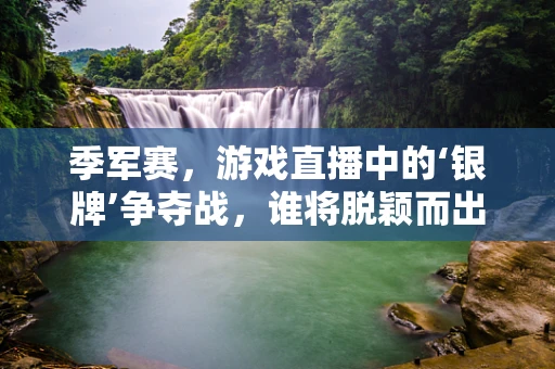 季军赛，游戏直播中的‘银牌’争夺战，谁将脱颖而出？