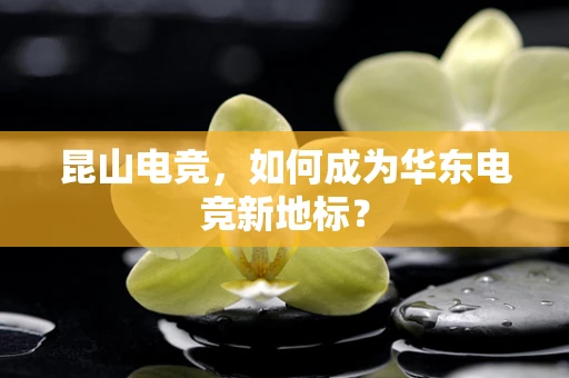 昆山电竞，如何成为华东电竞新地标？