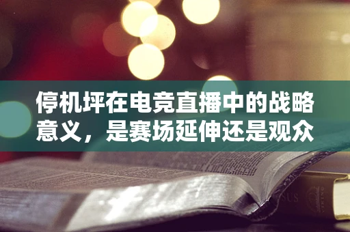 停机坪在电竞直播中的战略意义，是赛场延伸还是观众互动的盲区？