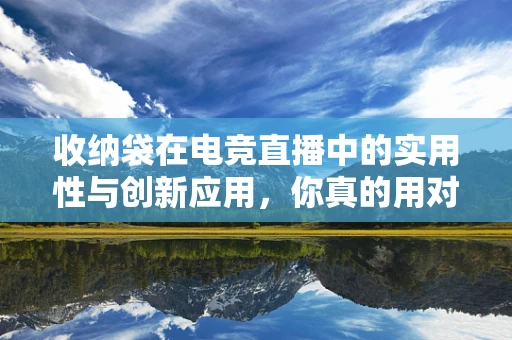 收纳袋在电竞直播中的实用性与创新应用，你真的用对了吗？