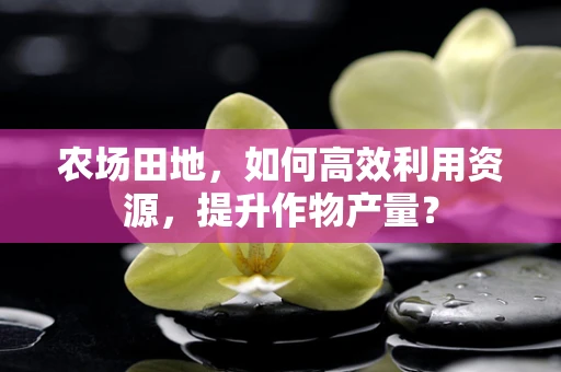 农场田地，如何高效利用资源，提升作物产量？