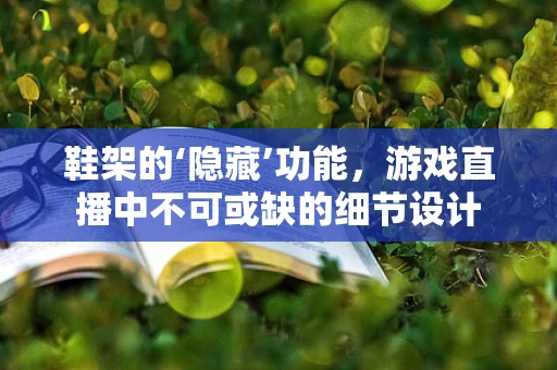 鞋架的‘隐藏’功能，游戏直播中不可或缺的细节设计